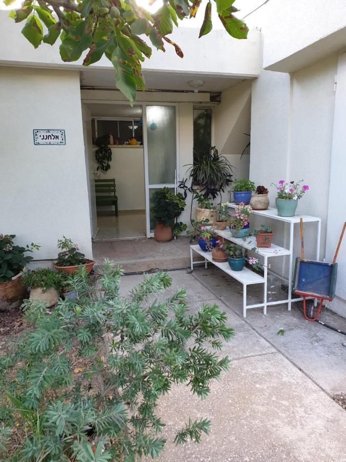 Appartement פינה חמה ברמה à Ein Zivan Extérieur photo