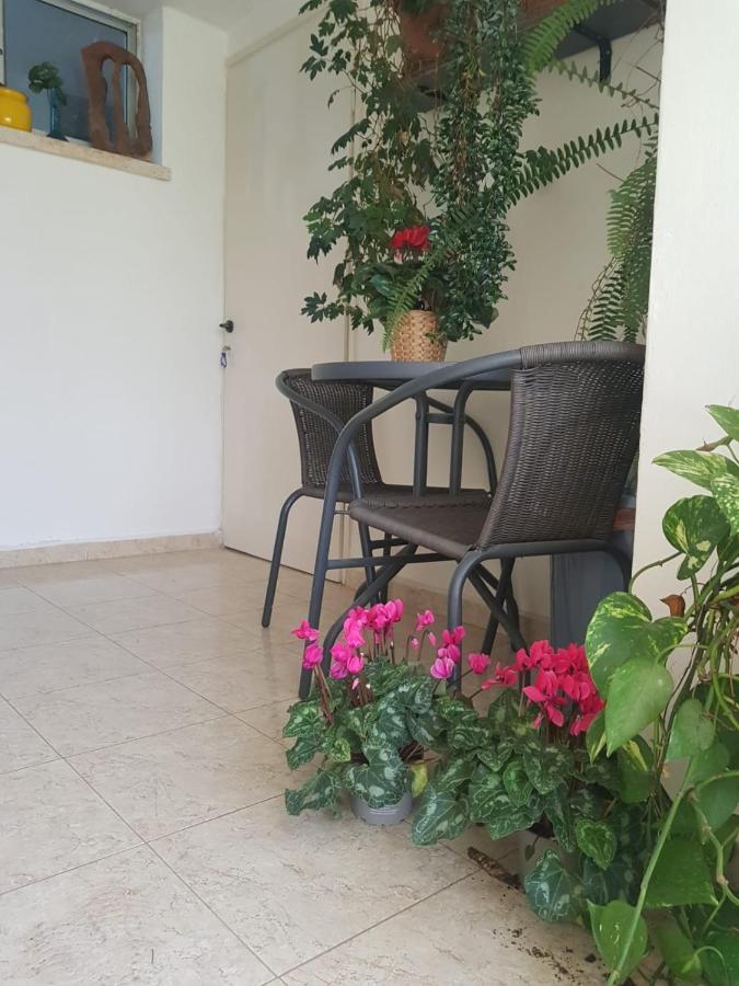 Appartement פינה חמה ברמה à Ein Zivan Extérieur photo